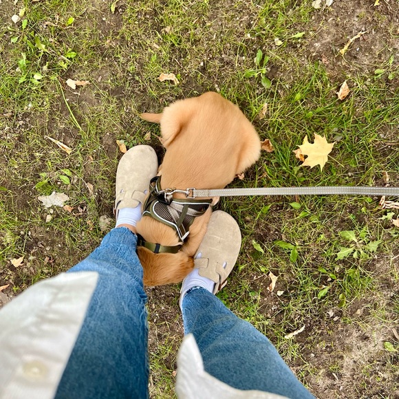 Meet your Posher, Cassandra - Picture 1 of 1